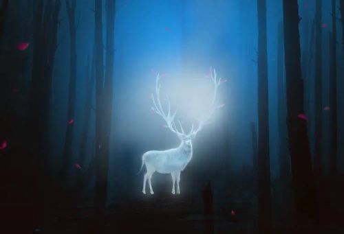 آموزش طراحی گوزن درخشان در فتوشاپ